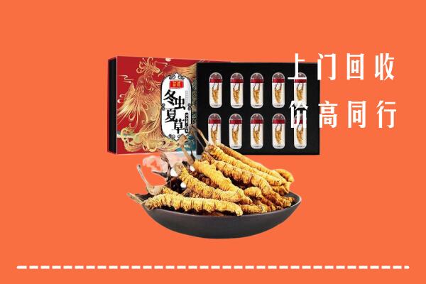 孝南回收虫草